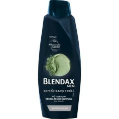 Blendax Men Kepeğe Karşı Etkili Doğal Kil Özlü Şampuan 470 ml