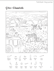 Saklı Resimler - Hayvanlar Serisi - 3 Kitap
