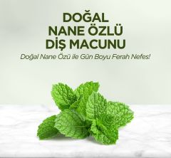 Eyüp Sabri Tuncer Doğal Nane Özlü Diş Macunu 90 ml