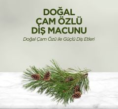 Eyüp Sabri Tuncer Doğal Çam Özlü Diş Macunu 90 ml