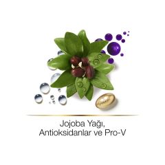 Pantene Hair Biology Saç Maskesi Renk Canlandırıcı ve Parlatıcı 160 ml