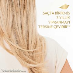 Dove Bond Intense Repair Şampuan 400 ml